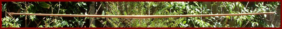 1 Bamboo Brigalow Bow.JPG