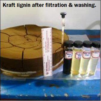Kraft Lignin After Filtration And Washing.jpg