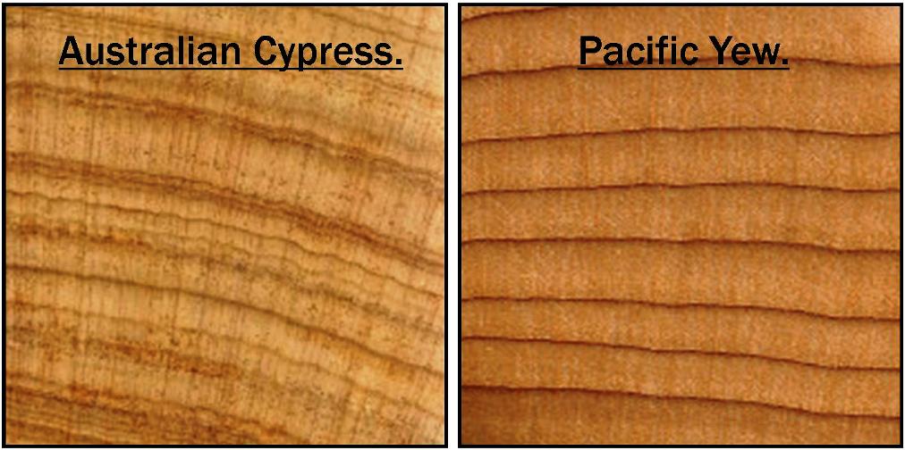 End Grain Australian Cypress And Pacific Yew.jpg