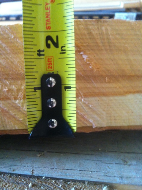 Sapwood Measure 1.jpg